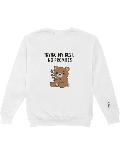 Trying My Best, No Promises